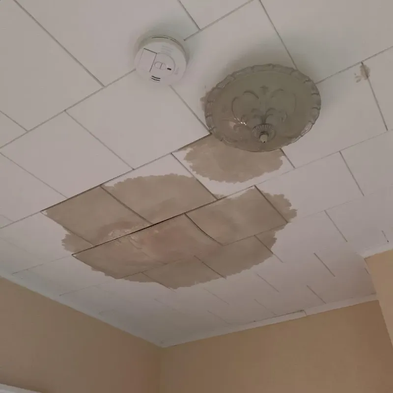 Ceiling Water Damage Repair in Norton, OH