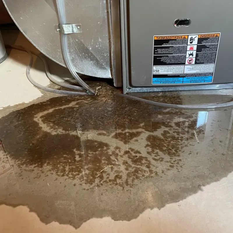 Pipe Burst and Leak Restoration in Norton, OH