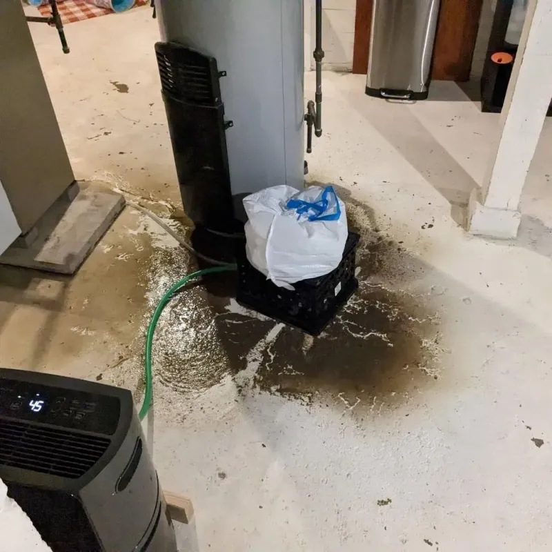 Sewage Backup Cleanup Service in Norton, OH
